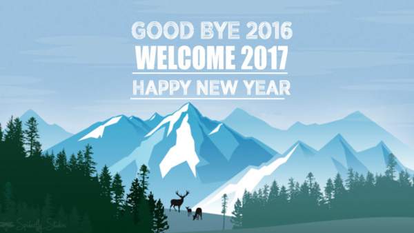 Goodbye 2016 Welcome 2017