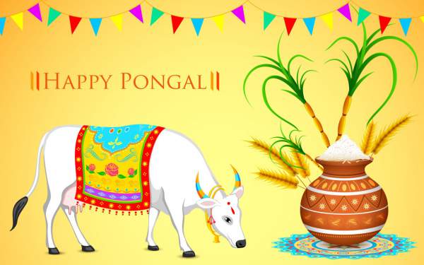 Happy Pongal 2019 Images, Pictures, Photos, Pics, Wallpapers
