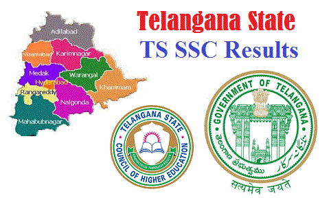Telangana TS Results 2016 at bsetelangana.org