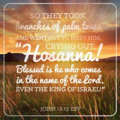 Happy Palm Sunday 2019 Images, Quotes, Wishes, Greetings, Photos, Prayer, Sermons