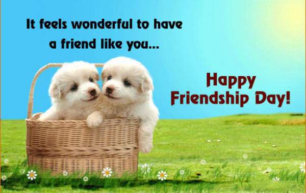 Happy Friendship Day 2018, Friendship Day Images, BFF Quotes, Friendship Day Pictures, Friendship Day Wallpapers, Best Friends Forever Greetings, Friendship Day Pics, Friendship Day Photos