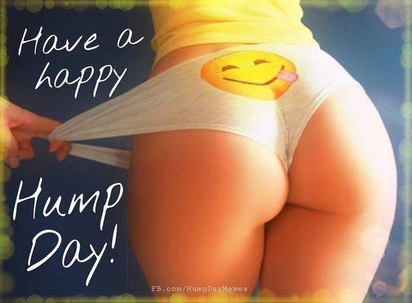 Happy Hump Day Meme Quotes Images