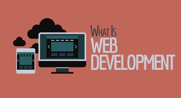 Which 3 Different Types of Web Development Exist?